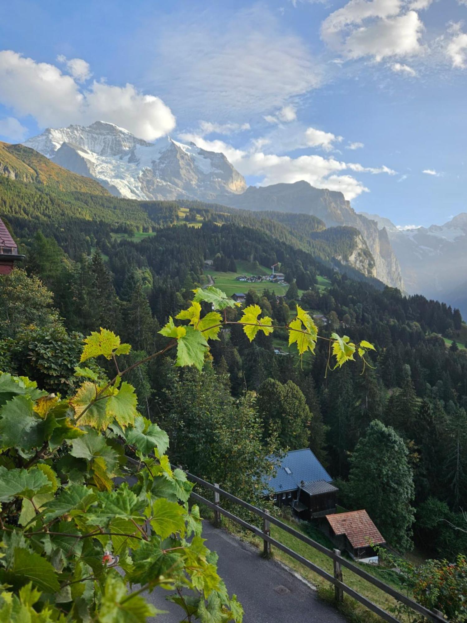 Chalet Aargovia South Венген Екстер'єр фото